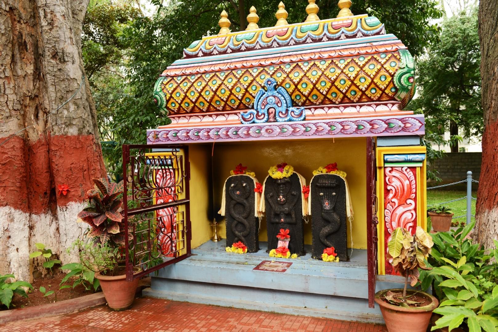 NITTE College of Pharmaceutical Sciences Bangalore Campus & Facilities photo 18